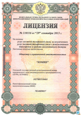 лиц 110316