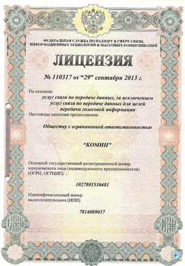 лиц 110317