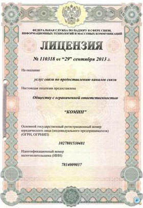 лиц 110318