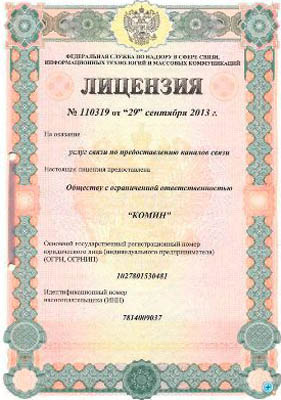 Лицензия 110319